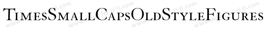 TimesSmallCapsOldStyleFigures Bold字体转换